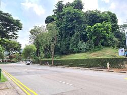 Outram Road (D3), Apartment #554878681